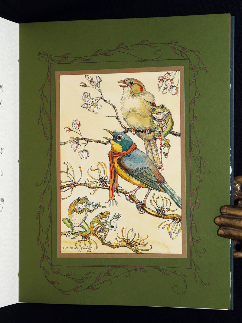 2008 Rare Signed 1stED - Mr. Rabbit's Symphony of Nature by Charles van Sandwyk