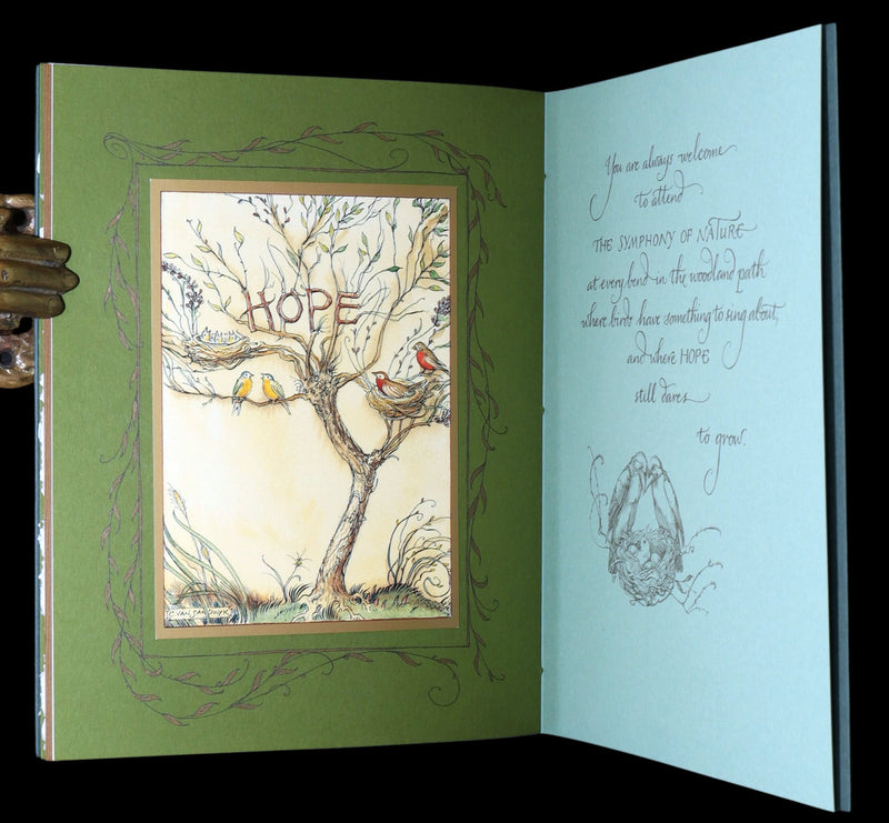 2008 Rare Signed 1stED - Mr. Rabbit's Symphony of Nature by Charles van Sandwyk
