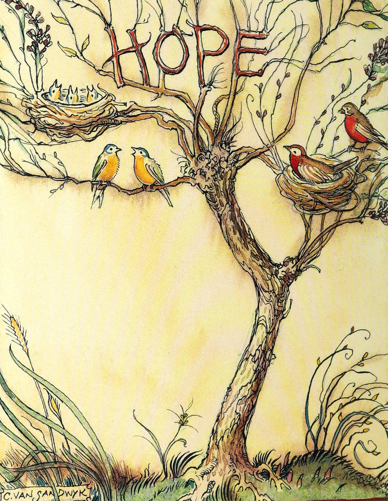 2008 Rare Signed 1stED - Mr. Rabbit's Symphony of Nature by Charles van Sandwyk