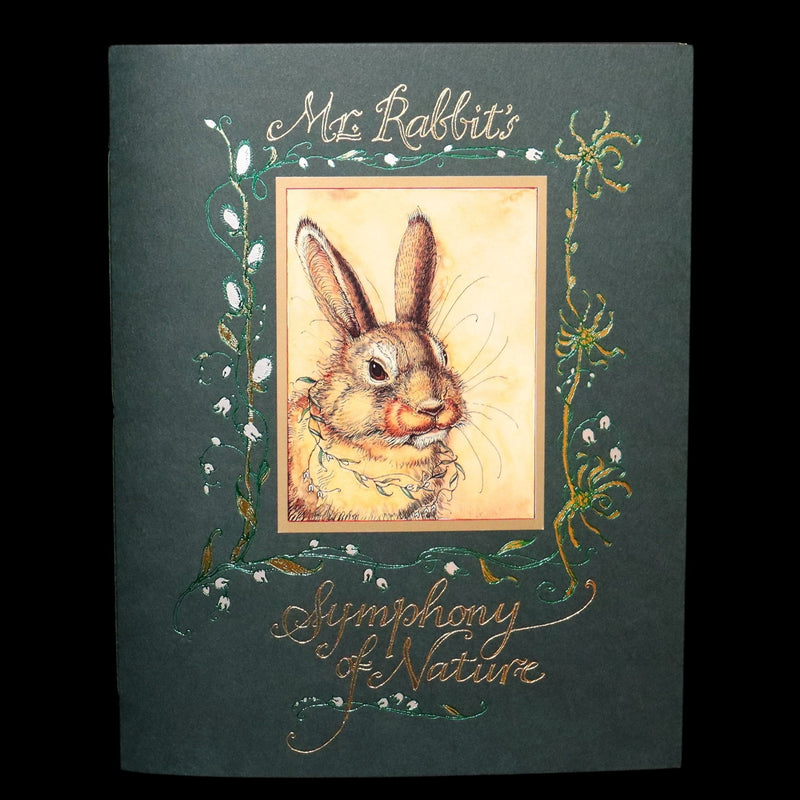 2008 Rare Signed 1stED - Mr. Rabbit's Symphony of Nature by Charles van Sandwyk