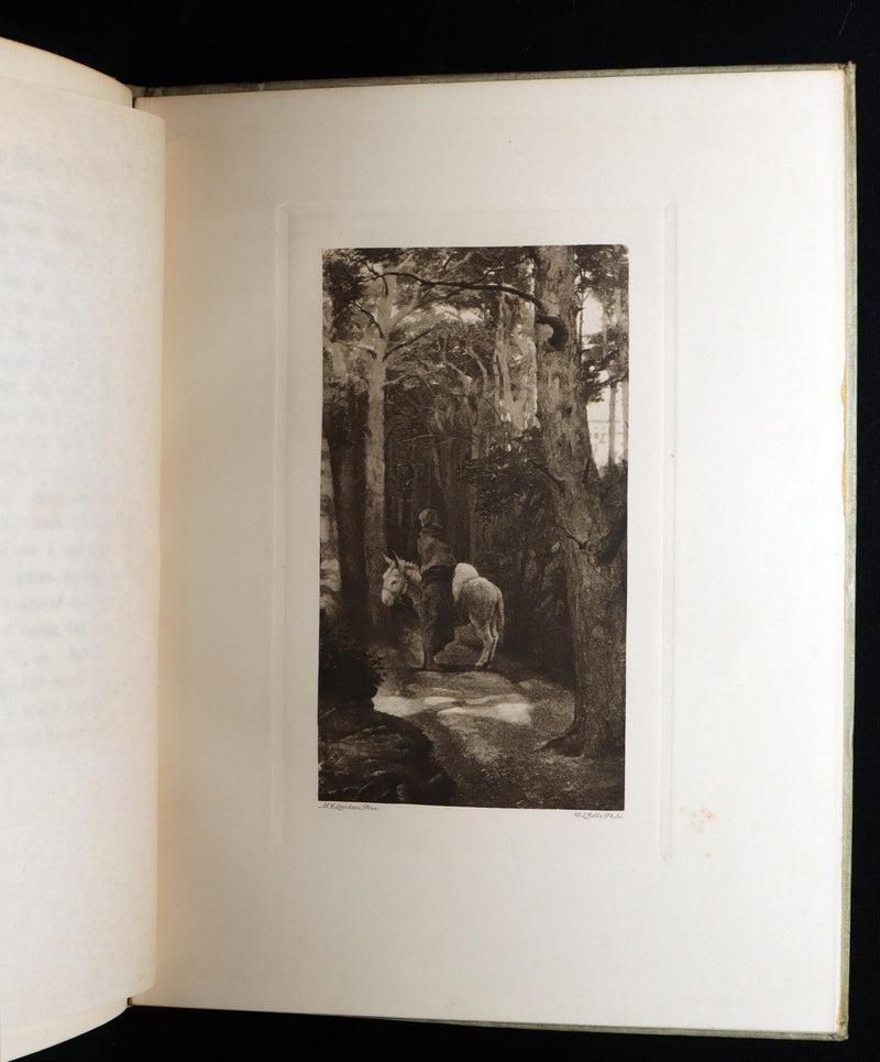 1895 Scarce Book - The Story of Zelinda and the Monster or, Beauty and the Beast
