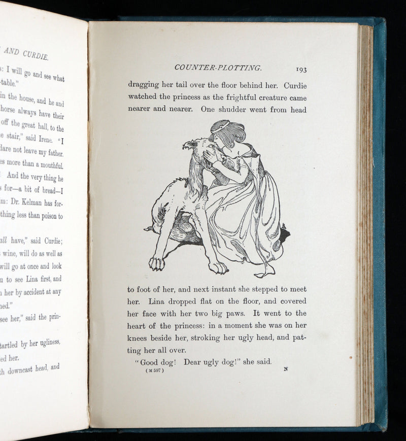 1900 Rare Book - The Princess and Curdie by George MacDonald, Illustrated