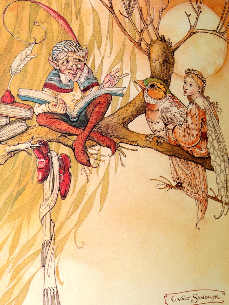 2003 1stED, 1st Printing - Blue Fairy Book Illustrated by Charles van Sandwyk