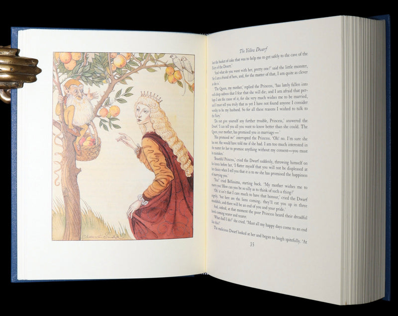 2003 1stED, 1st Printing - Blue Fairy Book Illustrated by Charles van Sandwyk