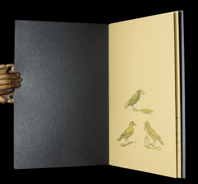 2018 Scarce Triptych - Splendid Crow Field Guide to Decent Humans by van Sandwyk