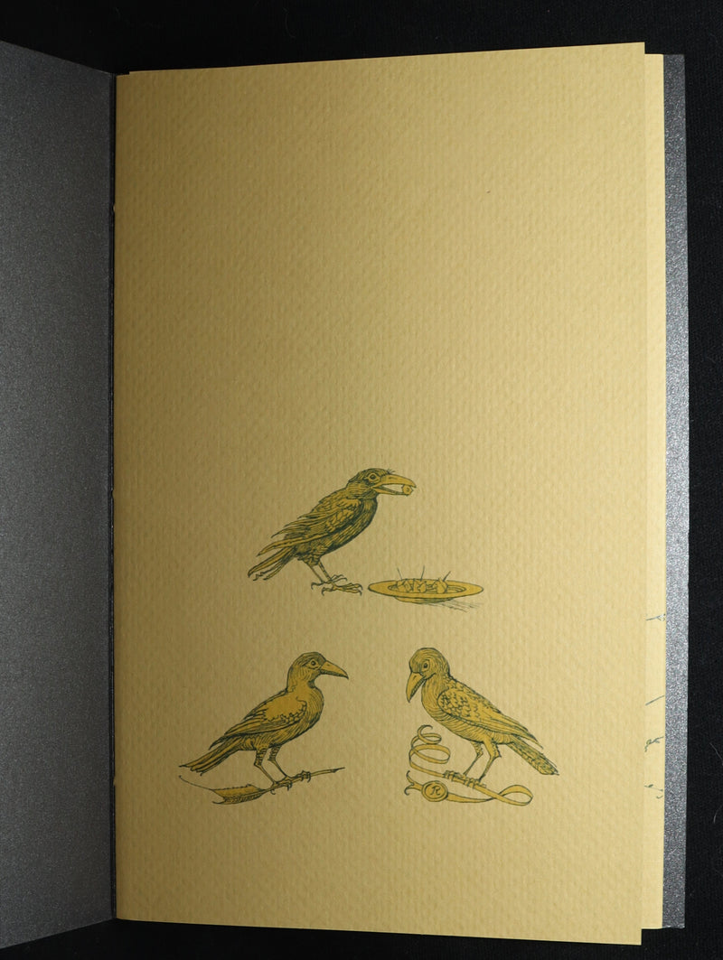2018 Scarce Triptych - Splendid Crow Field Guide to Decent Humans by van Sandwyk