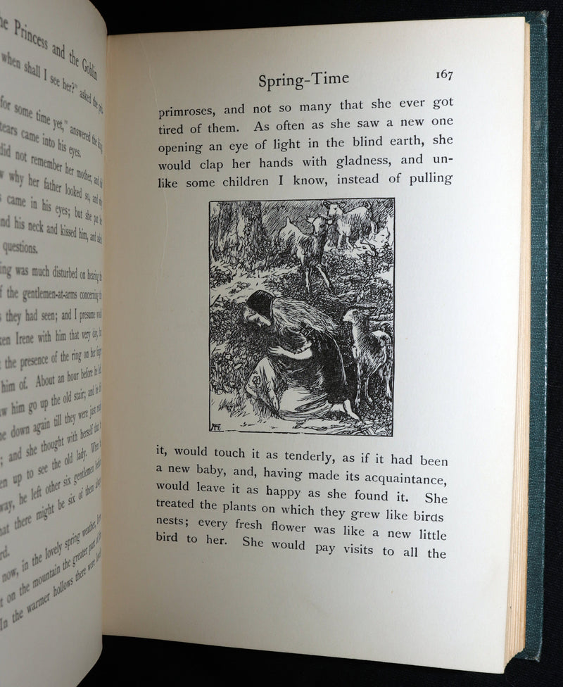 1911 Rare Edition - The Princess and the Goblin by George MacDonald, Illustrated