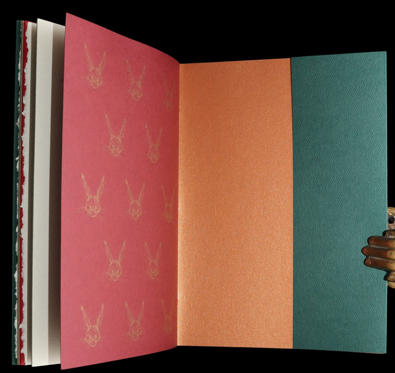 2007 Rare Book Signed Charles van Sandwyk - Mr. Rabbit's Christmas Wish