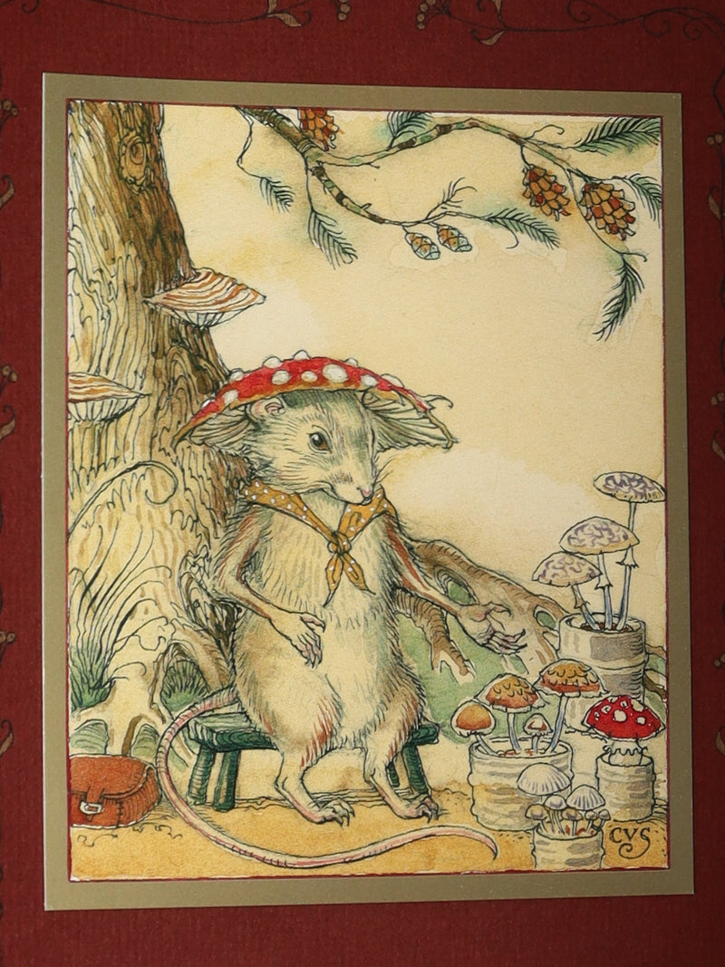 2009 Scarce 1stED - The Fairy Market by Charles van Sandwyk, Tribute to Rackham