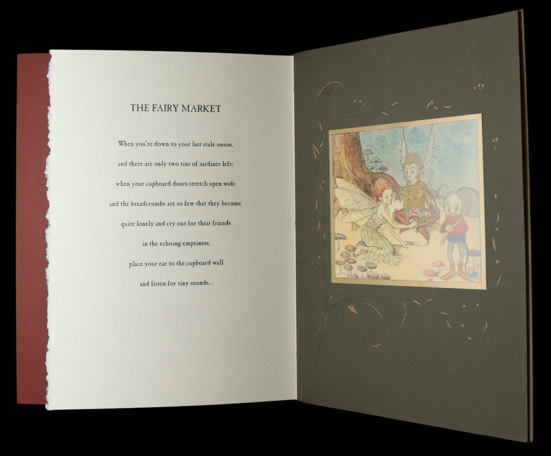 2009 Scarce 1stED - The Fairy Market by Charles van Sandwyk, Tribute to Rackham