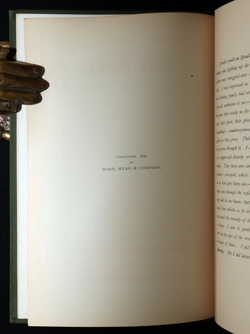 1898 Scarce Victorian Fantasy Book - Lilith: A Romance by George MacDonald