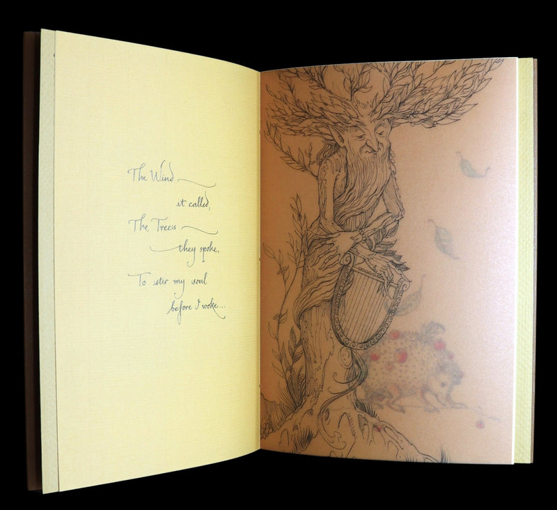 2015 Rare First Edition - Tree Whispers, Illustrated by Charles van Sandwyk
