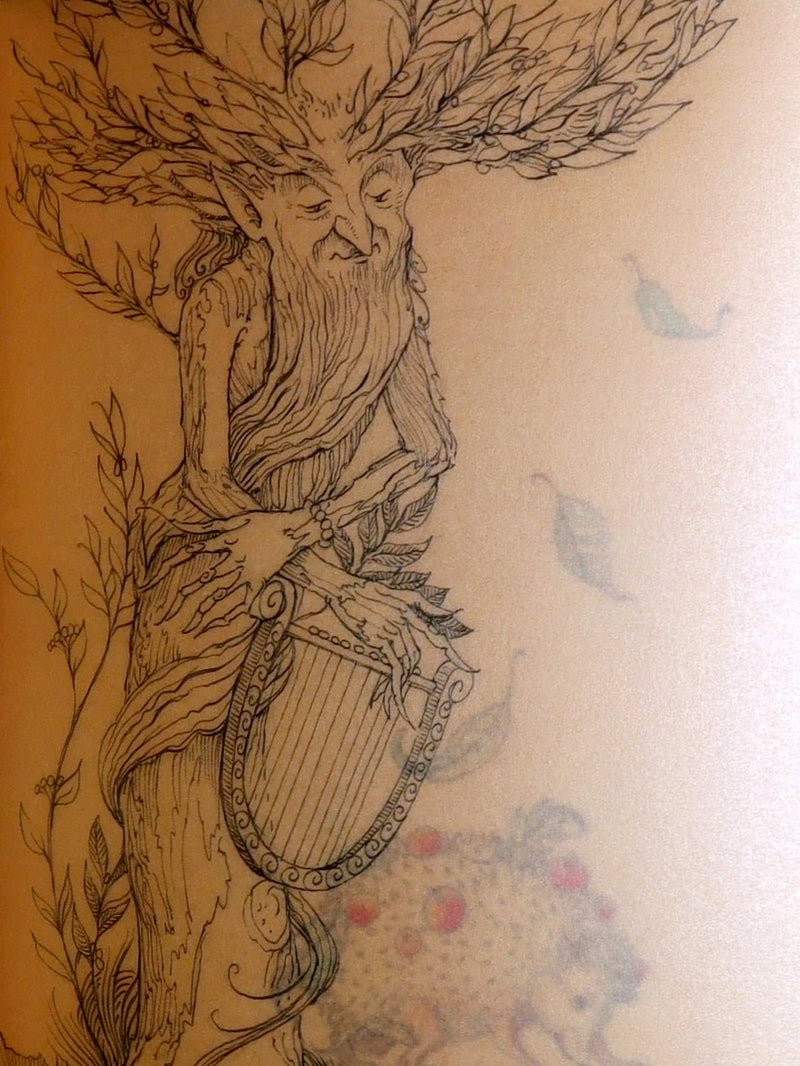 2015 Rare First Edition - Tree Whispers, Illustrated by Charles van Sandwyk