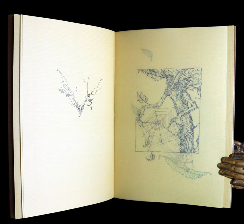 2015 Rare First Edition - Tree Whispers, Illustrated by Charles van Sandwyk