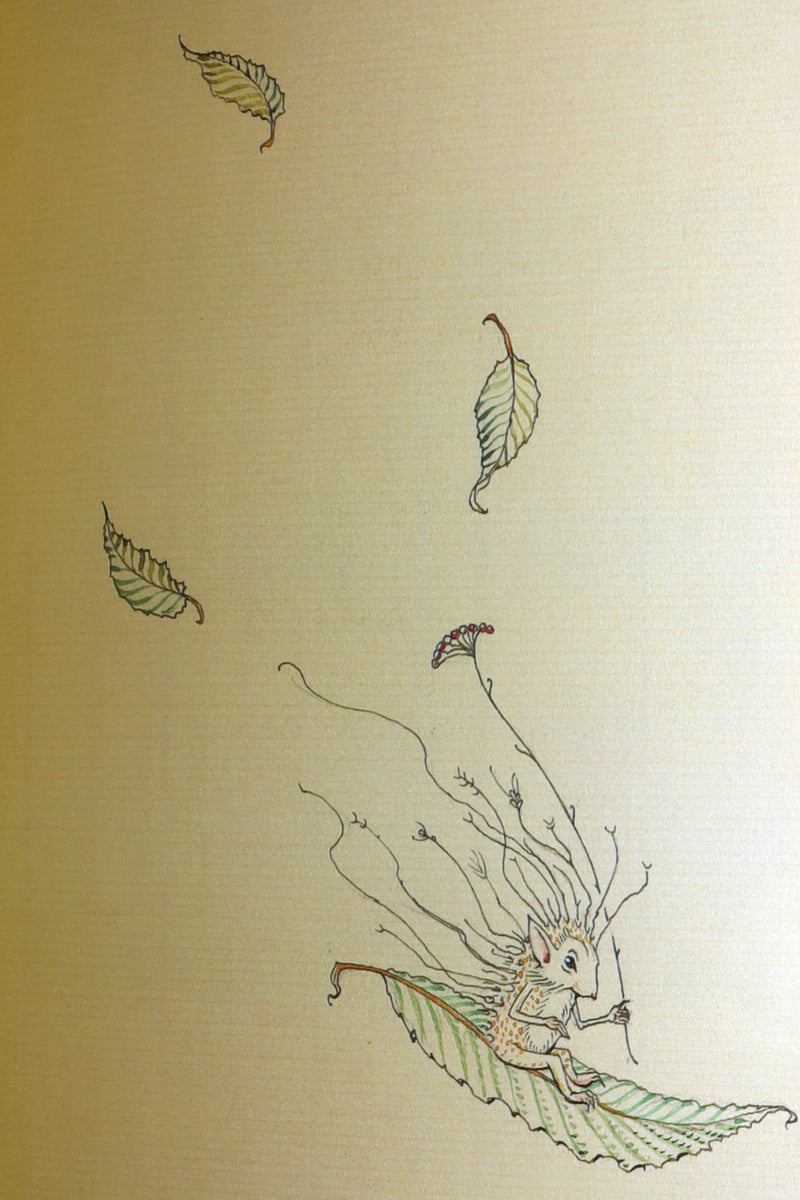 2015 Rare First Edition - Tree Whispers, Illustrated by Charles van Sandwyk