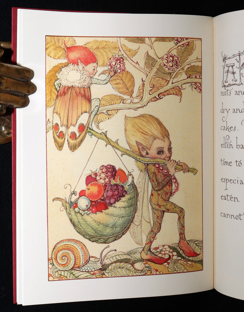 1997 First Edition - Charles van Sandwyk’s Pocket Guide to the Little People
