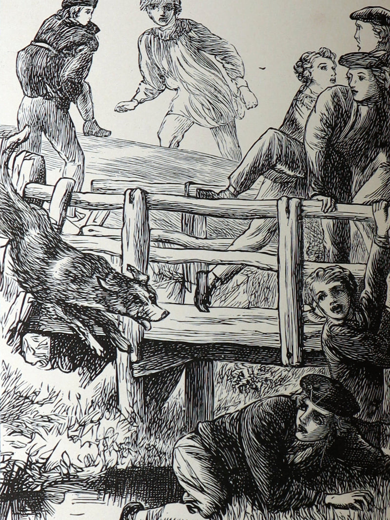 1889 Rare Book - Ranald Bannerman’s Boyhood by George MacDonald, Illustrated