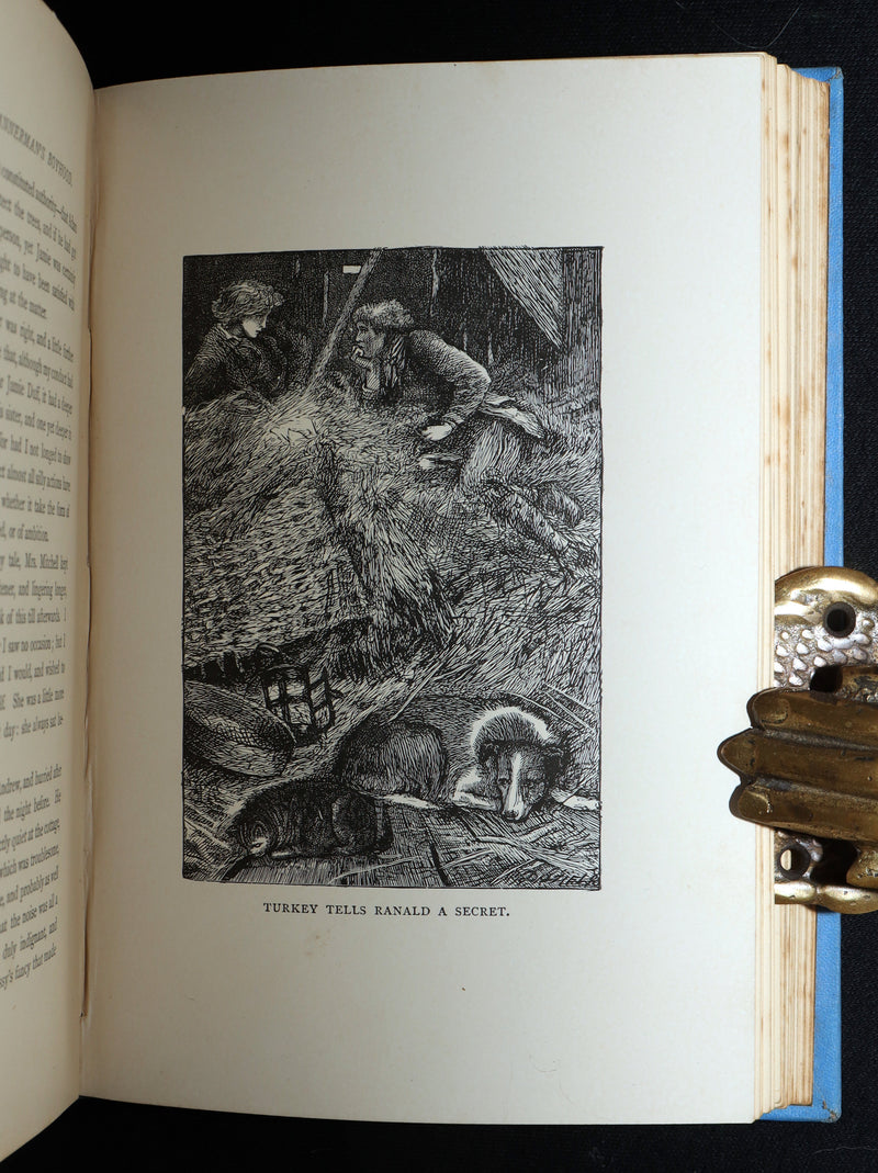 1889 Rare Book - Ranald Bannerman’s Boyhood by George MacDonald, Illustrated