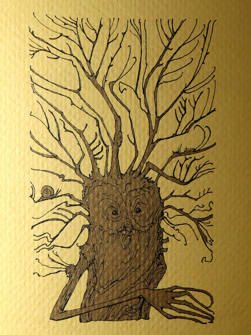 2015 Rare First Edition - Tree Whispers Illustrated by Charles van Sandwyk