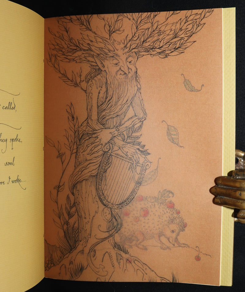 2015 Rare First Edition - Tree Whispers Illustrated by Charles van Sandwyk