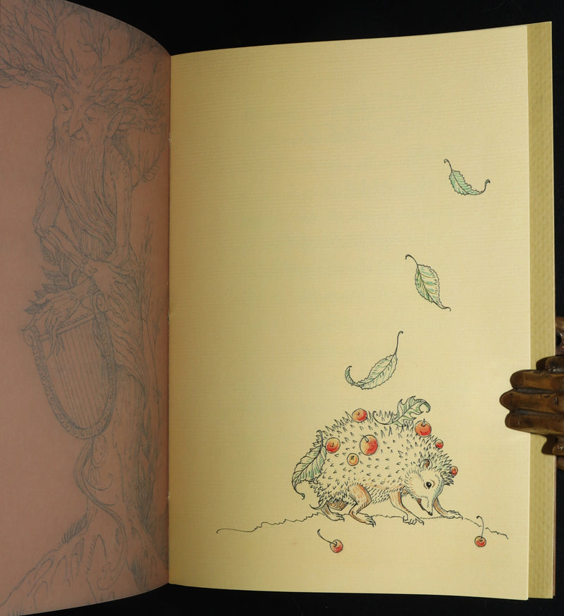 2015 Rare First Edition - Tree Whispers Illustrated by Charles van Sandwyk