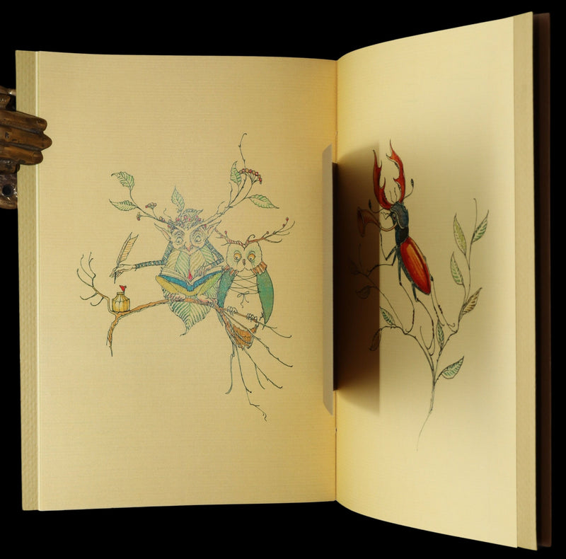 2015 Rare First Edition - Tree Whispers Illustrated by Charles van Sandwyk
