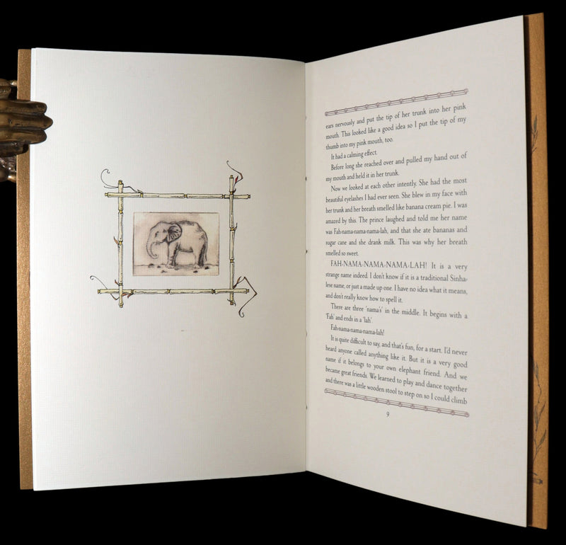 2025 Rare Book by van Sandwyk - Fah-nama-nama-nama-lah, A Tale of One Elephant