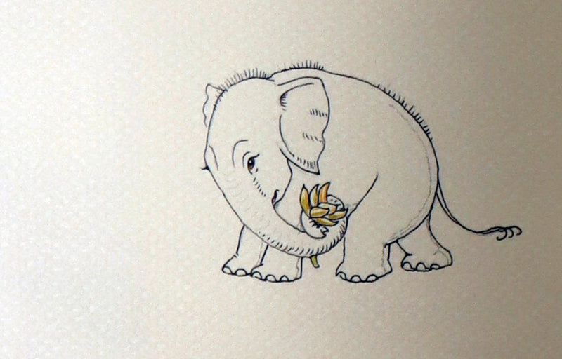 2025 Rare Book by van Sandwyk - Fah-nama-nama-nama-lah, A Tale of One Elephant