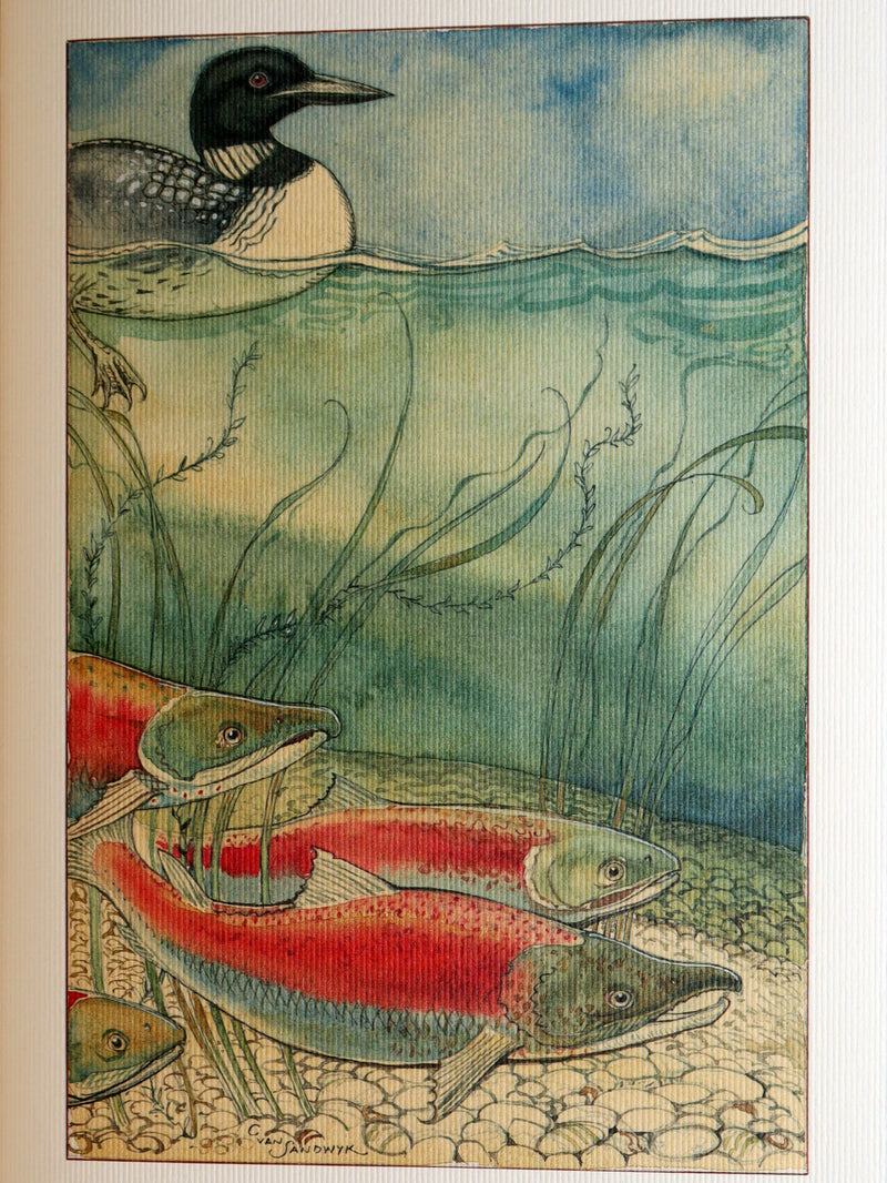 2009 Rare variant of 1stED - Canadian Content illustrated by Charles van Sandwyk