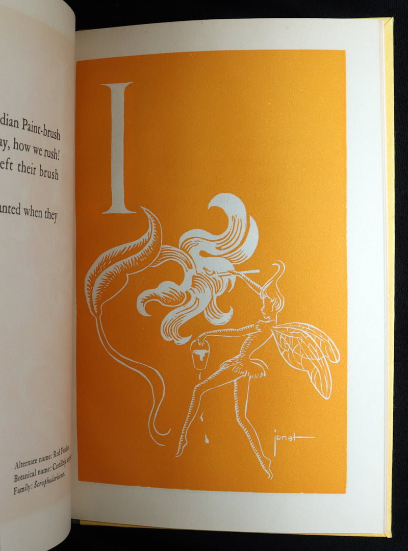 1940 Scarce 1stED Book - A Fairy's Garland of B. C. Flowers by Dorothea Allison
