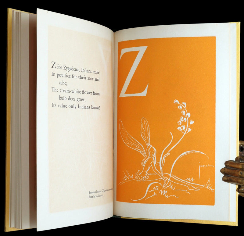 1940 Scarce 1stED Book - A Fairy's Garland of B. C. Flowers by Dorothea Allison