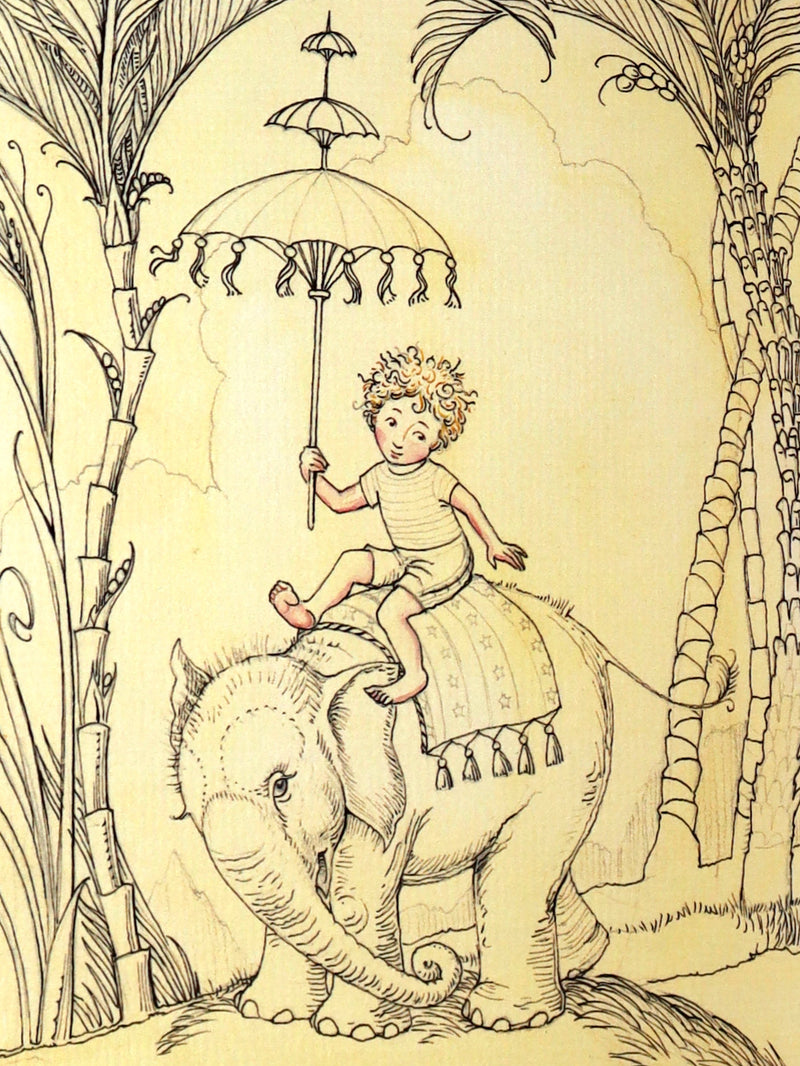 2025 Rare Book by van Sandwyk - Fah-nama-nama-nama-lah, A Tale of One Elephant