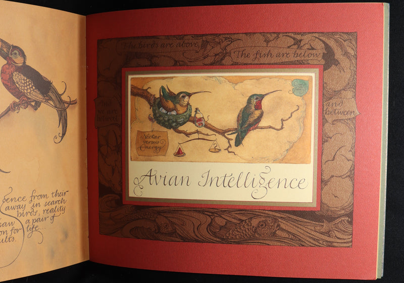 2005 Charles van Sandwyk First Edition - Sketches from the Dream Island of Birds