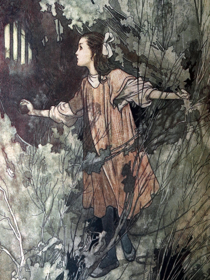 1914 Rare Book - The Secret Garden by Frances H. Burnett and Charles Robinson