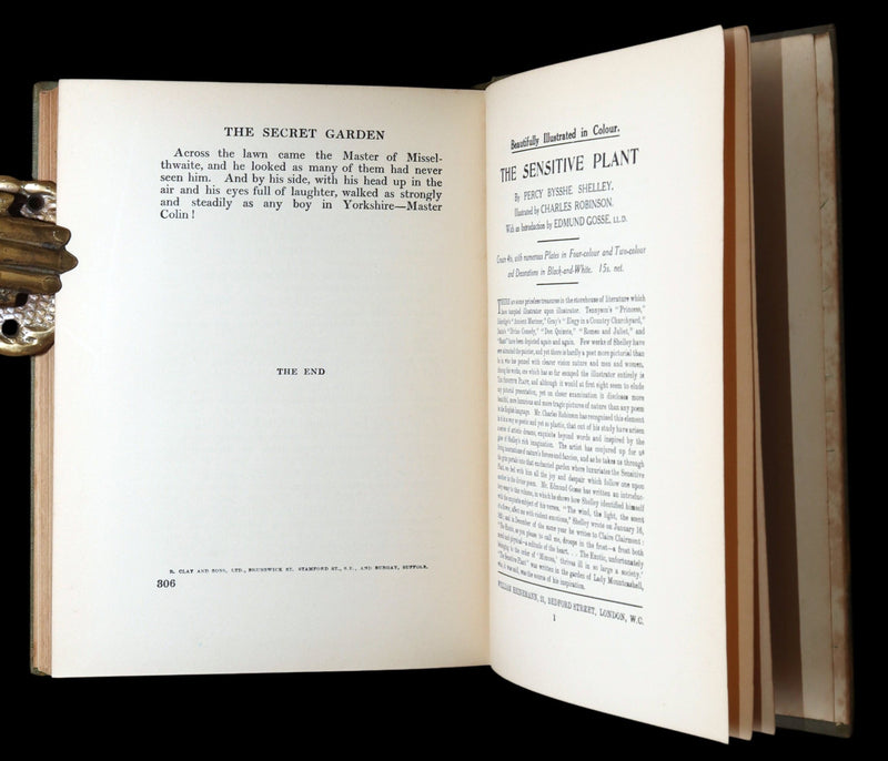1914 Rare Book - The Secret Garden by Frances H. Burnett and Charles Robinson