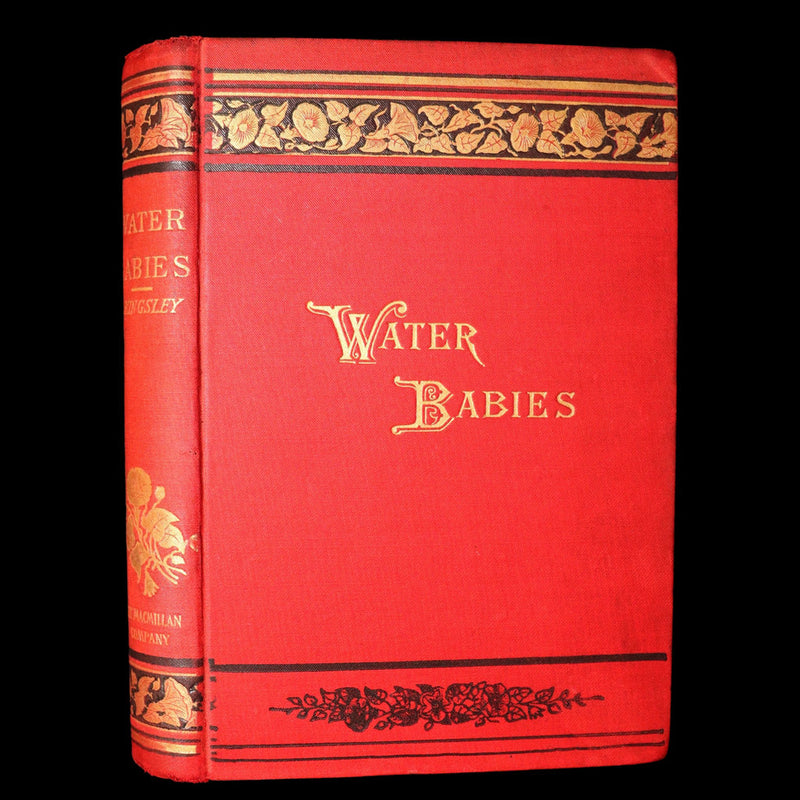 1900 Rare Book - The Water-Babies, A Fairy Tale for a Land-Baby, Illustrated