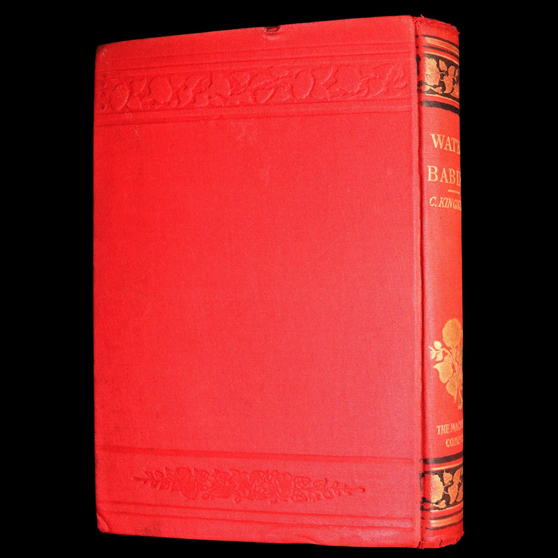 1900 Rare Book - The Water-Babies, A Fairy Tale for a Land-Baby, Illustrated