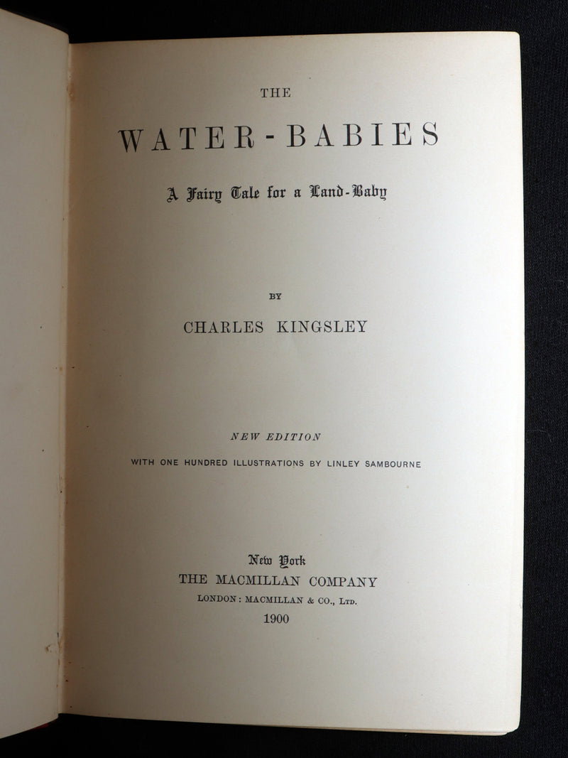1900 Rare Book - The Water-Babies, A Fairy Tale for a Land-Baby, Illustrated
