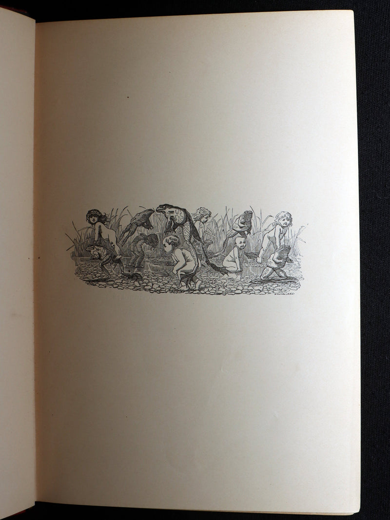 1900 Rare Book - The Water-Babies, A Fairy Tale for a Land-Baby, Illustrated