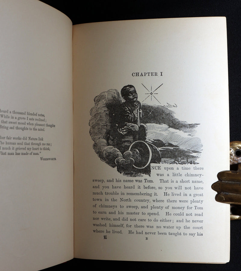 1900 Rare Book - The Water-Babies, A Fairy Tale for a Land-Baby, Illustrated