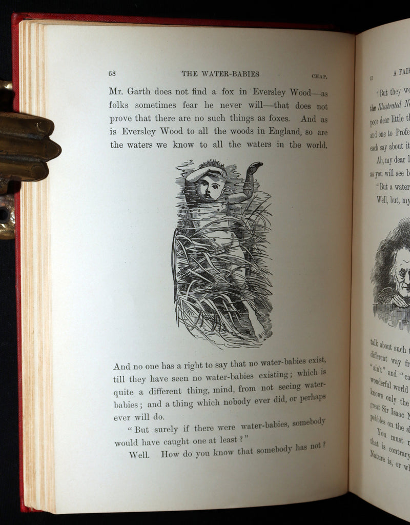 1900 Rare Book - The Water-Babies, A Fairy Tale for a Land-Baby, Illustrated