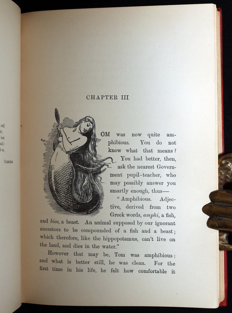 1900 Rare Book - The Water-Babies, A Fairy Tale for a Land-Baby, Illustrated