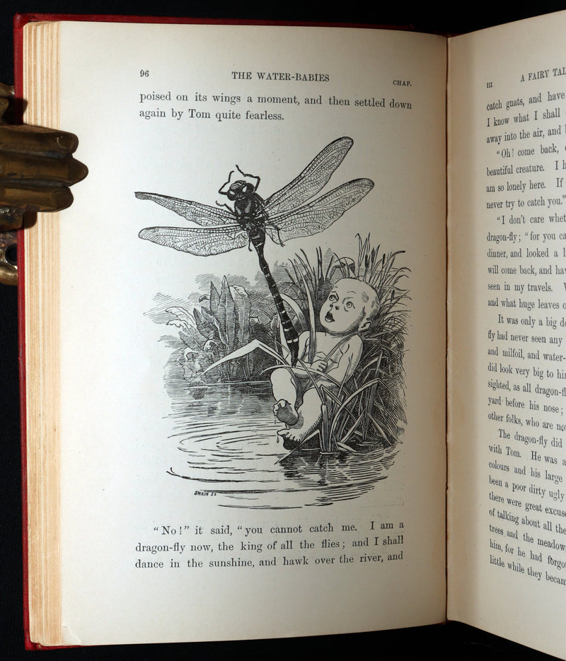 1900 Rare Book - The Water-Babies, A Fairy Tale for a Land-Baby, Illustrated