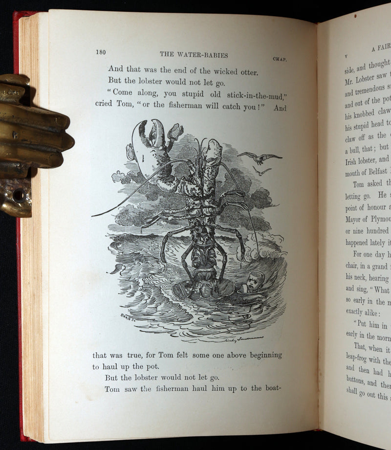 1900 Rare Book - The Water-Babies, A Fairy Tale for a Land-Baby, Illustrated