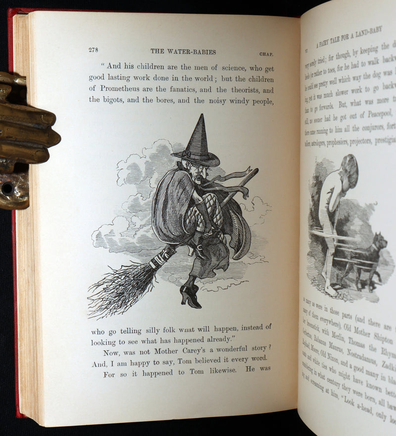 1900 Rare Book - The Water-Babies, A Fairy Tale for a Land-Baby, Illustrated