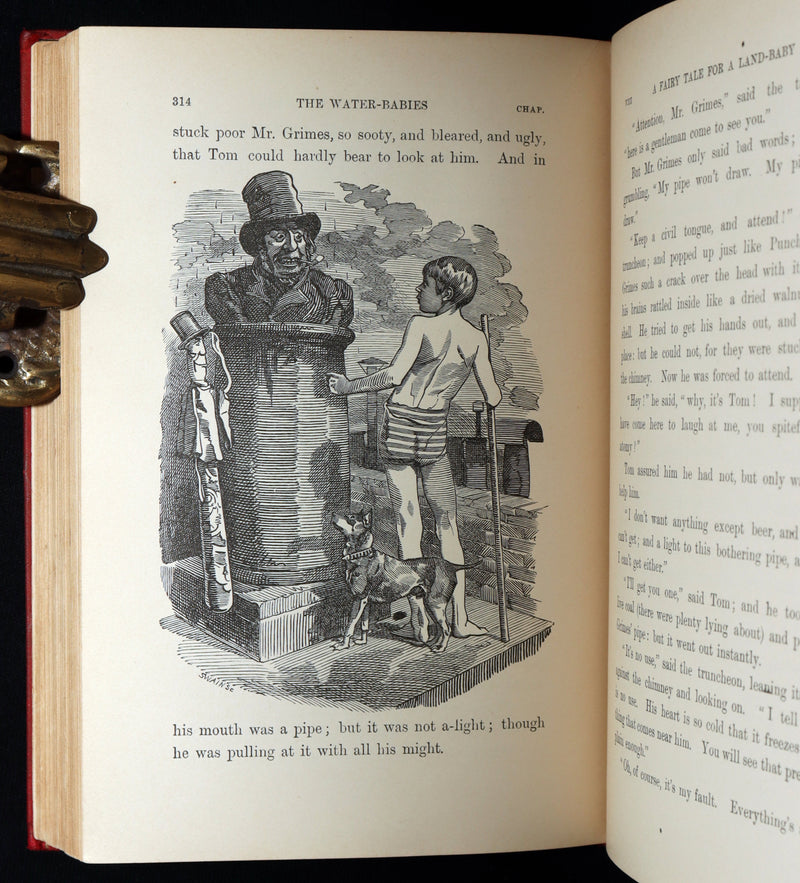 1900 Rare Book - The Water-Babies, A Fairy Tale for a Land-Baby, Illustrated
