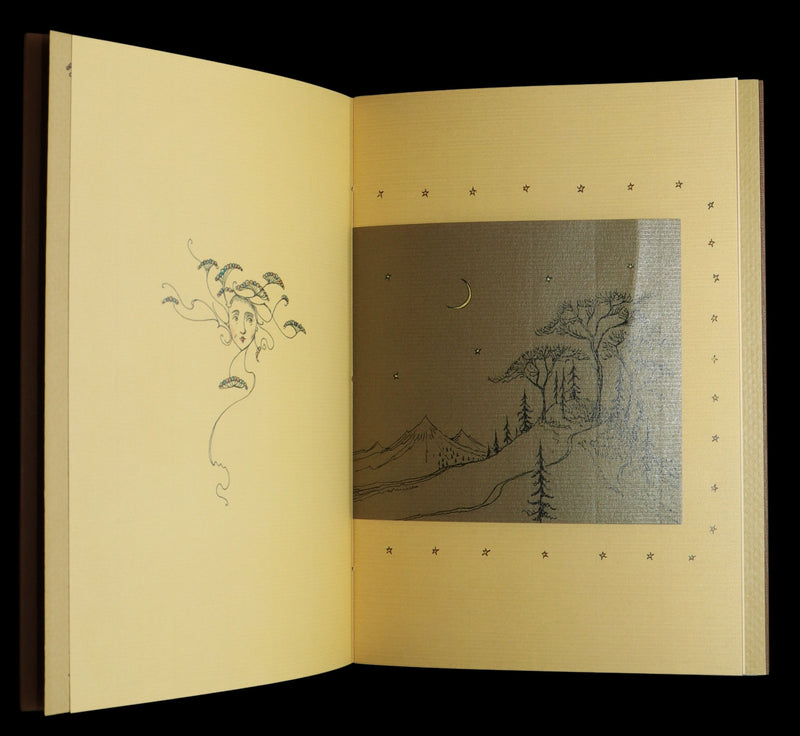 2015 Rare First Edition - Tree Whispers Illustrated by Charles van Sandwyk