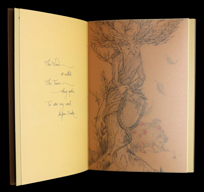 2015 Rare First Edition - Tree Whispers Illustrated by Charles van Sandwyk