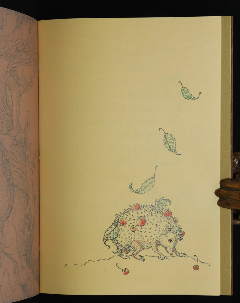 2015 Rare First Edition - Tree Whispers Illustrated by Charles van Sandwyk