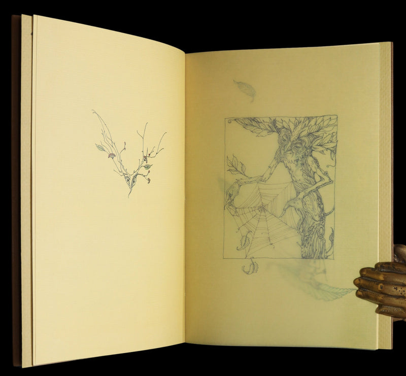 2015 Rare First Edition - Tree Whispers Illustrated by Charles van Sandwyk